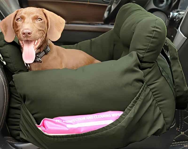 Petit chien installé confortablement dans son sac de transport Cocon Voyageur lors d'un trajet en voiture, environnement rassurant.