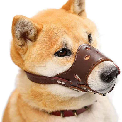 Muselière en cuir véritable pour chien de petite taille, modèle Muzzle-Flex ajustable couleur chocolat, idéale pour le confort et la sécurité.