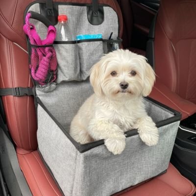 Petit chien blanc assis dans son panier de transport Sécuri-Voyage, montrant le dossier protecteur avec poches de rangement et le tissu gris résistant, installé sur un siège de voiture rouge.