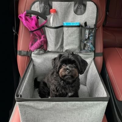 Petit chien noir assis dans le siège auto Sécuri-Voyage gris, montrant les poches de rangement supérieures avec une laisse rose et une bouteille d'eau, sur un siège de voiture rouge.