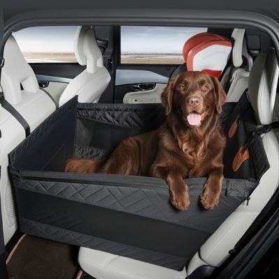 Siege auto pour chien