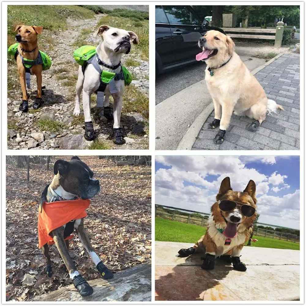Chaussures de randonnée pour chien, bottines de protection toutes surfaces pour chiens de sport et de loisir, adaptées aux terrains accidentés, à l'asphalte et à la terre, boutique Pitou et moi.