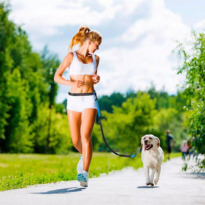 Femme en tenue de sport faisant du jogging avec un chien de type Labrador blanc grâce à une laisse mains libres bleue reliée à une ceinture ventrale sur un sentier ensoleillé.