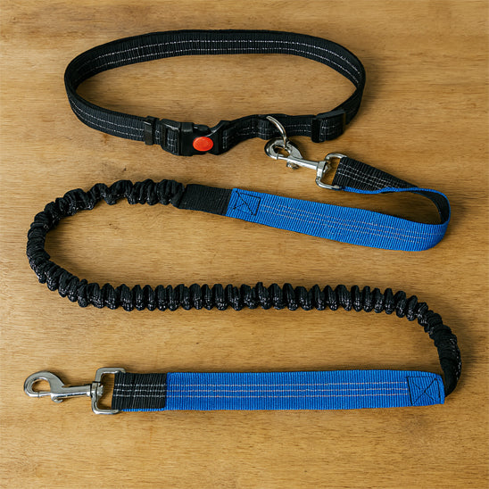 Vue à plat d'une laisse mains libres bleue et noire pour chien avec sa ceinture ventrale ajustable et sa partie élastique extensible absorbant les chocs.