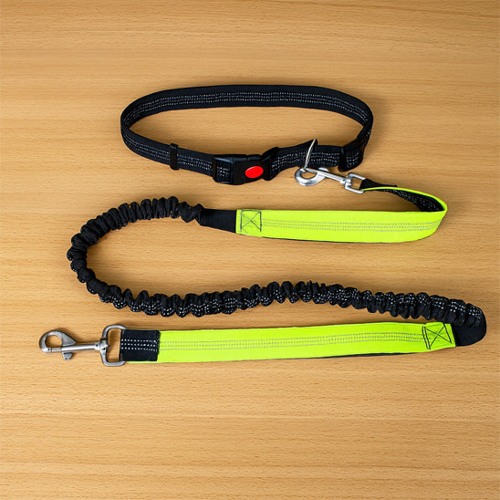 Vue à plat d'une laisse mains libres jaune et noire pour chien avec sa ceinture ventrale ajustable et sa partie élastique extensible absorbant les chocs.
