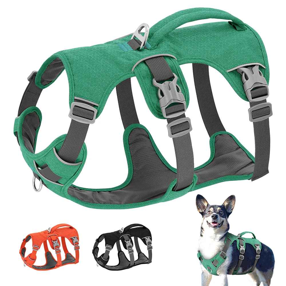Harnais anti-traction UniDog pour chien, coloris vert avec rembourrage gris, montrant la poignée de contrôle supérieure, les boucles de réglage et les liserés réfléchissants pour une haute visibilité.