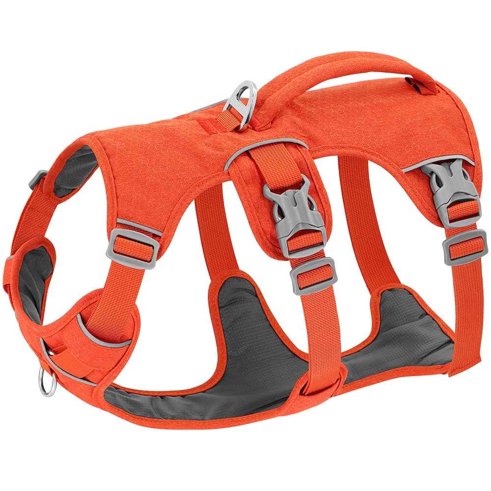 Harnais anti-traction UniDog pour chien, coloris orange vif avec rembourrage gris, montrant la poignée de contrôle supérieure, les boucles de réglage et les liserés réfléchissants pour une haute visibilité.
